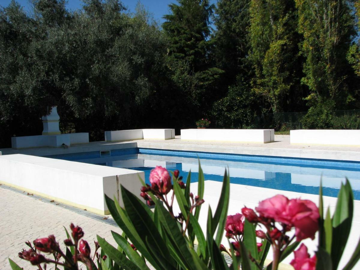 Bed and Breakfast Quinta Do Outeiro Vila Nova de Poiares Esterno foto
